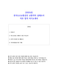 2025년 한국도로교통공단 교통약자 실태조사 직무 합격 자기소개서