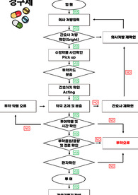 투약 FMEA 흐름도(Flowchart)