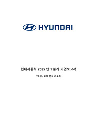 현대자동차 2025년1분기 핵심요약보고서