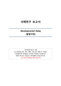 [A+] 발달지연(Developmental Delay) CASE STUDY