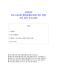 2025년 휴온스글로벌 재무팀(재무회계 업무)  직무 합격 자기소개서