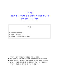 2025년 서울특별시교육청 돌봄전담사(초등돌봄전담사) 직무 합격 자기소개서