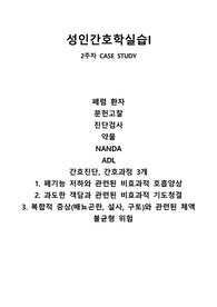 A+ 성인 폐렴(Pneumonia) case study 간호과정 3개(수도권 자대유, 4.4 졸업)
