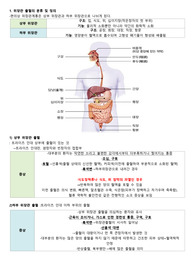 [응급간호] 위장관 출혈 - 식도정맥류