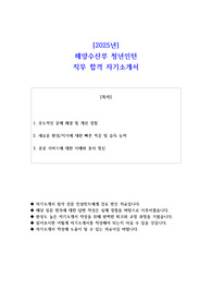 2025년 해양수산부 청년인턴    직무 합격 자소서