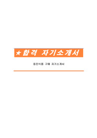 웅진식품 구매 자기소개서