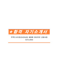주택도시보증공사(HUG) 체험형 청년인턴 금융사업 자기소개서
