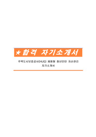 주택도시보증공사(HUG) 체험형 청년인턴 자산관리 자기소개서