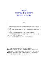 2025년 IBK캐피탈 신입 전산분야 직무 합격 자소서