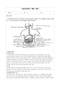 성인간호학 소화기계 해부 생리(그림도 있어요.)
