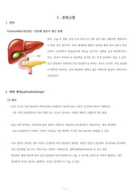 성인간호학 담낭염 케이스, 문헌고찰 및 사례보고서