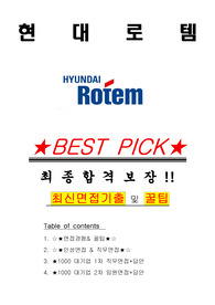 현대로템 면접기출(최신)+꿀팁[최종합격!] +1000대기업 1차 직무면접 + 2차 임원면접 최종합격자 답안
