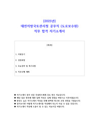 2025년 대전지방국토관리청 공무직 (도로보수원)  직무 합격 자소서