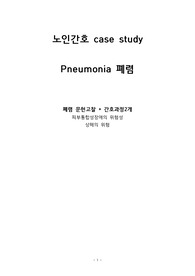 A+ 노인간호 폐렴 문헌고찰+간호과정 2개
