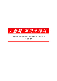 서울주택도시개발공사 청년 체험형 인턴(전산) 자기소개서