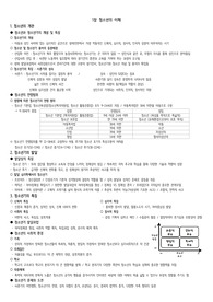 [청소년복지 요약 정리] 개념 이론 정책까지 한눈에! 청소년복지 강의노트 총정리