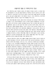 효율이란 탈을 쓴 재택근무의 민낯