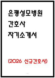 은평성모병원 자소서
