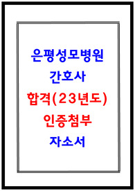 은평성모병원 자소서