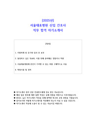 2025년 서울대효병원 신입 간호사 직무 합격 자소서