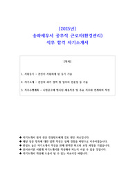 2025년 송파세무서 공무직 근로자(환경관리)   직무 합격 자기소개서