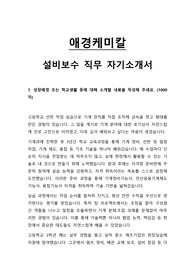 애경케미칼 설비보수 직무 자기소개서