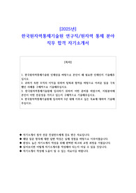 2025년 한국원자력통제기술원 연구직원자력 통제 분야  직무 합격 자기소개서