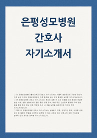 은평성모병원 자소서