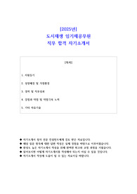 2025년 도시재생 임기제공무원 직무 합격 자소서