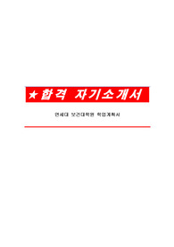 연세대 보건대학원 학업계획서