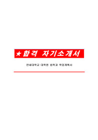 연세대학교 대학원 법학과 학업계획서
