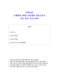 2025년 은혜병원 (세종) 정신병원 병동간호사 직무 합격  자기소개서