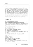 [경제] 인도네시아 정치와 경제