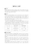 [토목] 레이놀즈수 실험