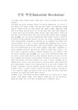산업혁명 요약정리