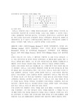 [프랑스영화 감상문] 시라노를 보고....