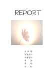 달빛 코스모스