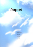 빛 하늘 새