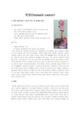 [소화기 간호학] 위암case study