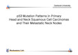 [생화학] 두경부암(p53 Mutation Patterns in Primary Head and Neck Squamous Cell Carcinomas and Their Metastatic Neck Nodes)
