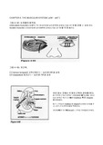 [해부학] 근육성대해부학