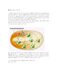 [생물학] RNAi 방법의 작용 원리