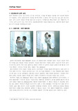 [광고관리] [광고] 광고에서의 성적 은유 - Case를 통한 분석. 성공사례와 실패사례를 중심으로|