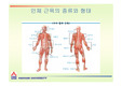 [생체 의료] 근육에 대한 발표