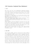 [정보통신] CAP에 대해서(정보통신)