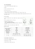 회음절개술