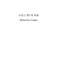 [무전극램프]무전극램프의 탄생(1부)