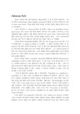 [영문학] Adrienne Rich- " Living in Sin"
