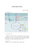 [생화학] CITRIC ACID CYCLE