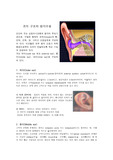[청각]귀의 구조와 기능